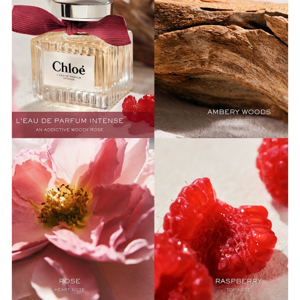 NEW!!! Chloé - Picture 6 of 7